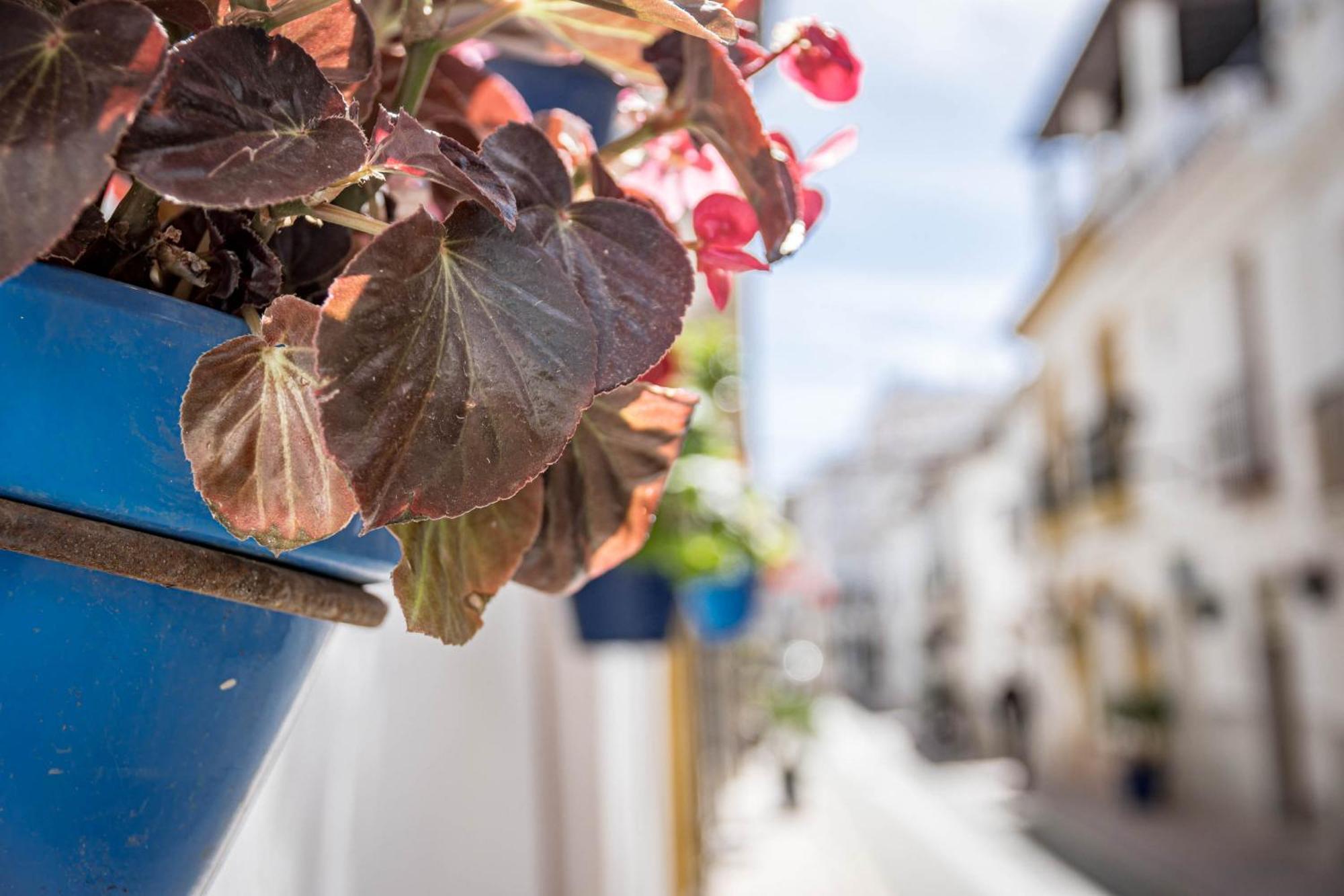 Seaclub Suites Estepona Exterior foto